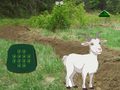 Игра Goat Find The Child