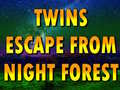 Игра Twins Escape From Night Forest