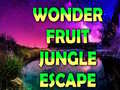 Игра Wonder Fruit Jungle Escape