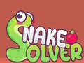 Игра Snake Solver 