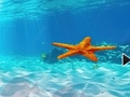 Игра Escape From Underwater Starfish