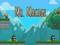 Игра Mr Macagi