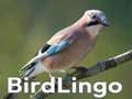 Ігра BirdLingo