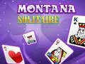 Игра Montana Solitaire