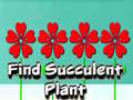 Ігра Find Succulent Plant
