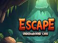 Игра Underground Cave Escape
