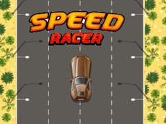 Игра Speed Racer