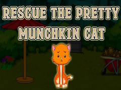 Игра Rescue The Pretty Munchkin Cat