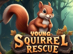 Игра Young Squirrel Rescue