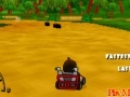 Игра Donkey Kong Kart
