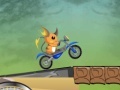 Игра Raichu Ride 