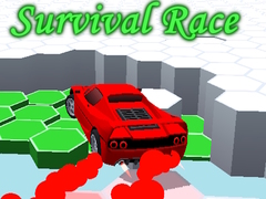 Игра Survival Race