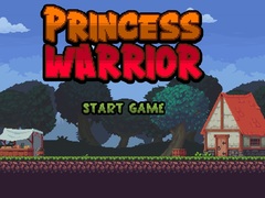 Игра Princess Warrior