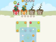 Игра Flower Collection