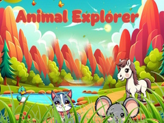 Игра Animal Explorer 