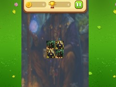 Игра Magic Druid Memory Match