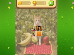 Игра Farm Cat Memory Match