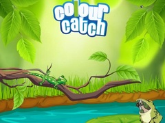Игра Colour Catch