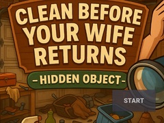 Игра Clean Before Your Wife Returns Hidden Object