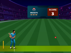 Игра Cricket Night 2