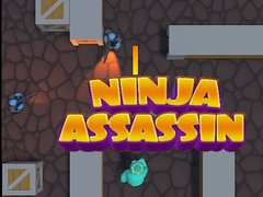 Игра Ninja Assassin