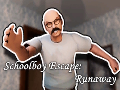 Игра Schoolboy Escape: Runaway