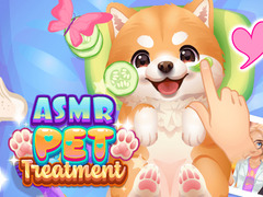 Игра ASMR Pet Treatment