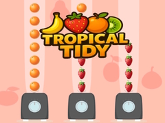 Игра Tropical Tidy