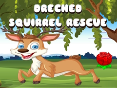 Игра Drenched Squirrel Rescue