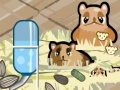 Игра Hamster Nest