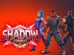 Игра Shadow Combat
