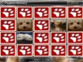 Игра Puppies Memory