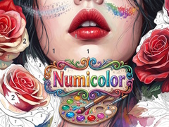 Игра Numicolor
