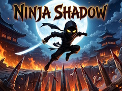 Игра Ninja Shadow