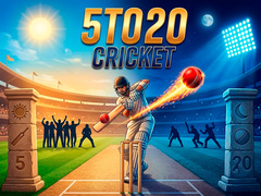 Игра 5TO20 Cricket