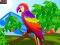 Игра Decor the Cute Parrot