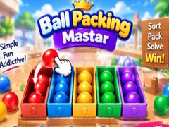 Игра Packing Master Puzzle