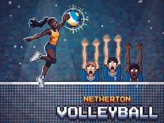 Игра Netherton Volleyball