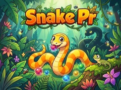 Игра Snake Pr