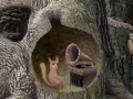 Игра Forest sounds