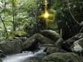 Игра Rambo: The Fight Continues