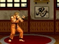 Игра Art of Fighting