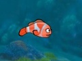 Игра Fish Racing