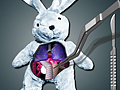 Ігра Save The Bunny