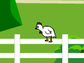 Игра Chicken Impossible