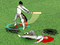 Игра Just Not Cricket