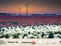 Игра Windflowers Find Numbers