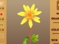 Игра Magic Flower