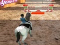 Игра Horse Jumping 3D