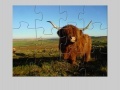 Игра Highland Cow Jigsaw